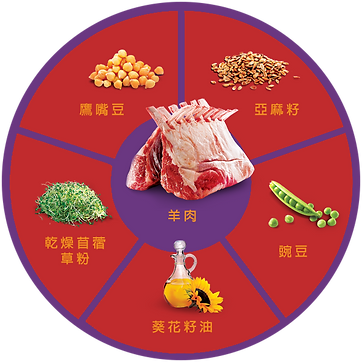 QUADRANTS_LAMB (1).png