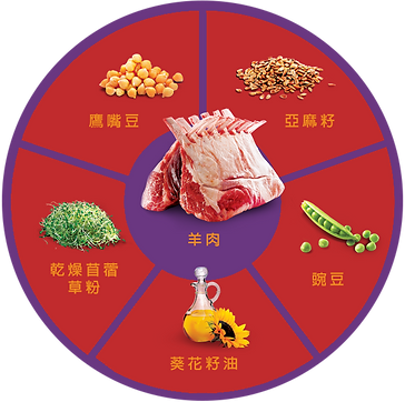 QUADRANTS_LAMB (1).png