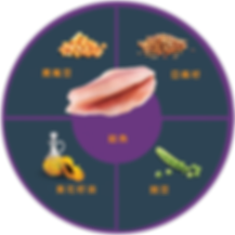 QUADRANTS_CATFISH_CM_02_1.png