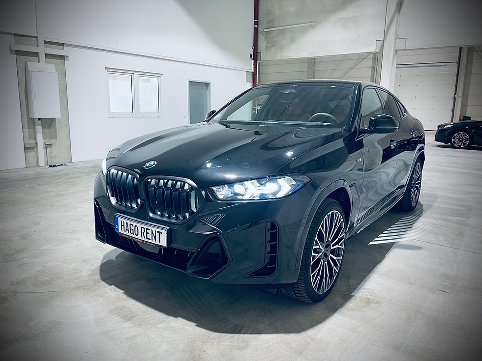 Miniaturbild: BMW X6
