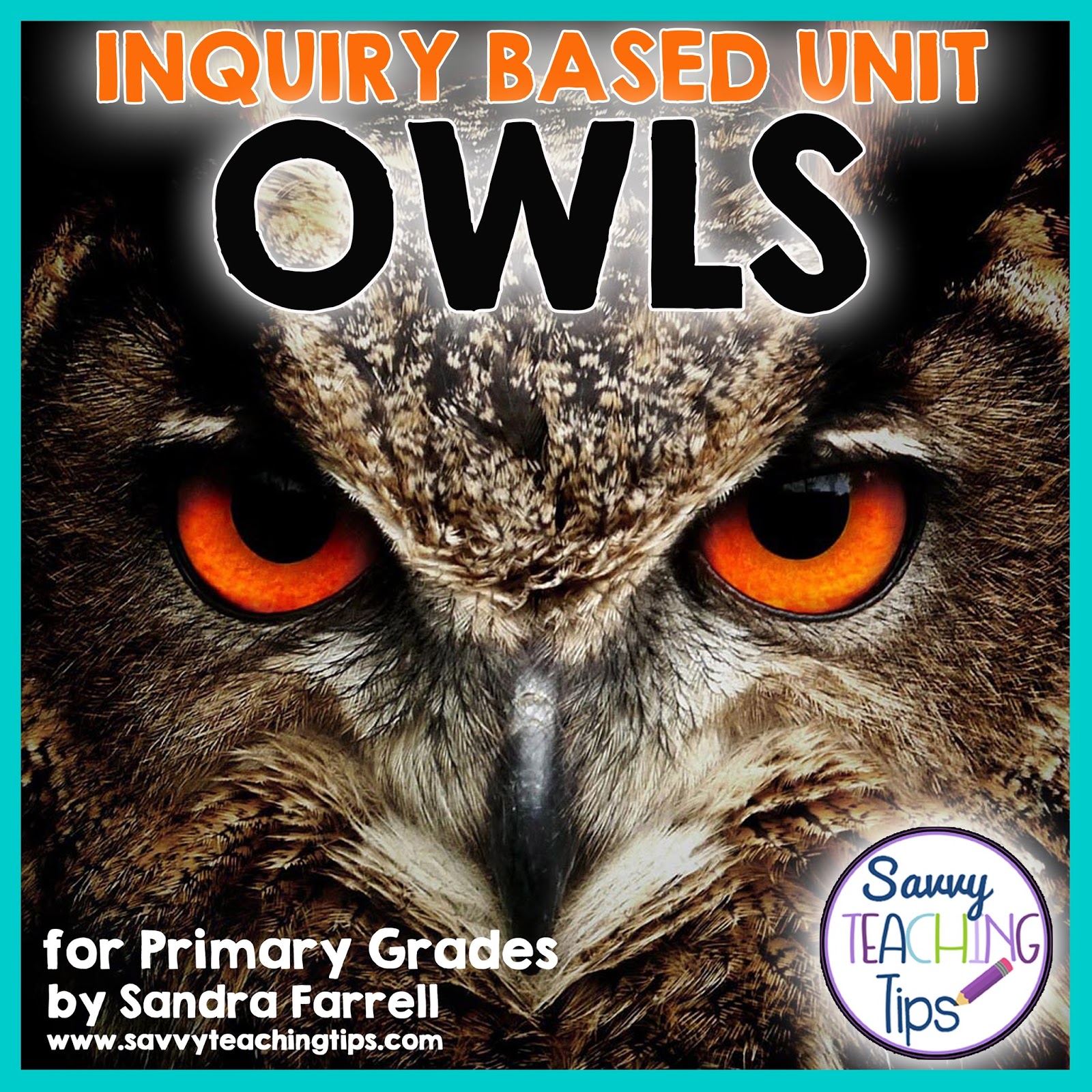 This unit of inquiry is great for giving kids freedom to learn about the owl of their choice. It's perfect for teachers who are new to units of inquiry. There are step-by-step instructions for how to develop inquiry questions and set up the plan for kids to do their own research and project.