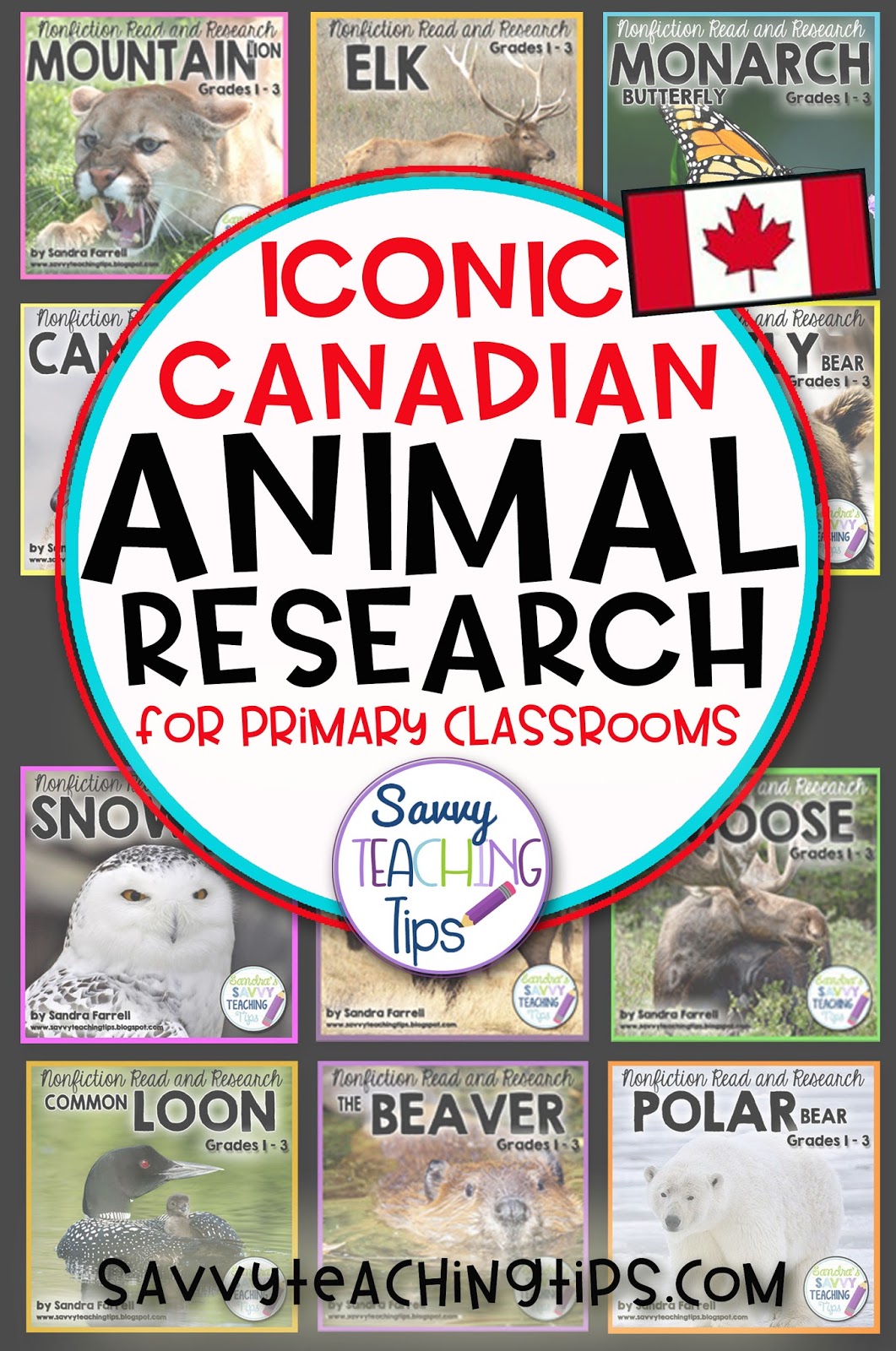 I like to try to combine Language Arts with Science whenever I can. That's why I came up with my Non-Fiction Animal research units for Primary classrooms.