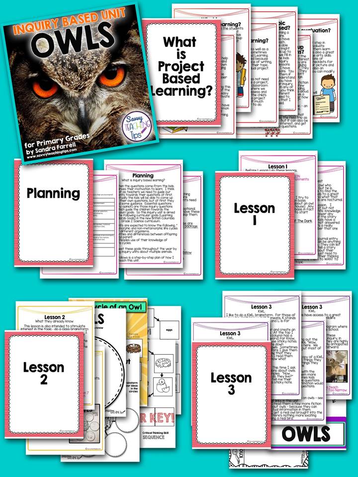 This unit of inquiry is great for giving kids freedom to learn about the owl of their choice. It's perfect for teachers who are new to units of inquiry. There are step-by-step instructions for how to develop inquiry questions and set up the plan for kids to do their own research and project.