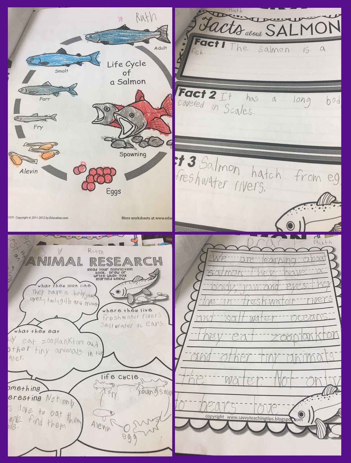 I like to try to combine Language Arts with Science whenever I can. That's why I came up with my Non-Fiction Animal research units for Primary classrooms.