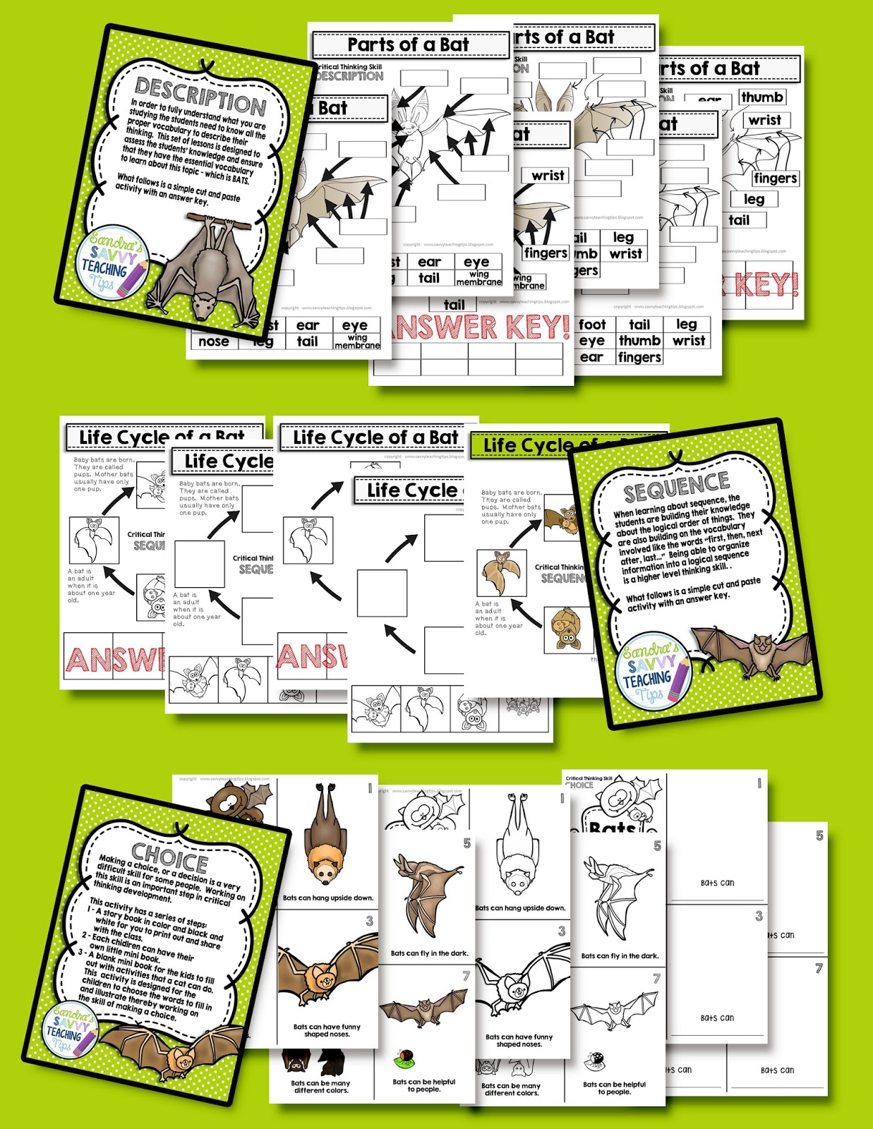 A fully complete unit about bats.  There's fantastic information about life science, life cycle, language arts, math and levelled readers too.