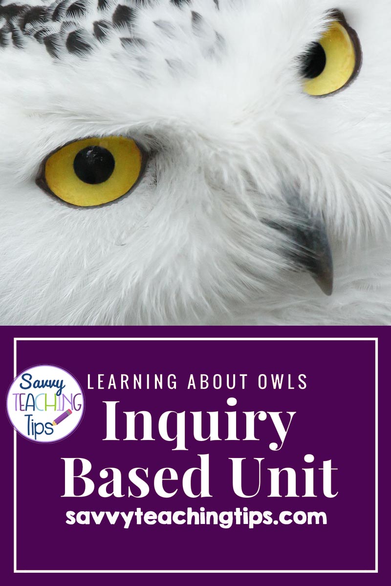 This unit of inquiry is great for giving kids freedom to learn about the owl of their choice. It's perfect for teachers who are new to units of inquiry. There are step-by-step instructions for how to develop inquiry questions and set up the plan for kids to do their own research and project.