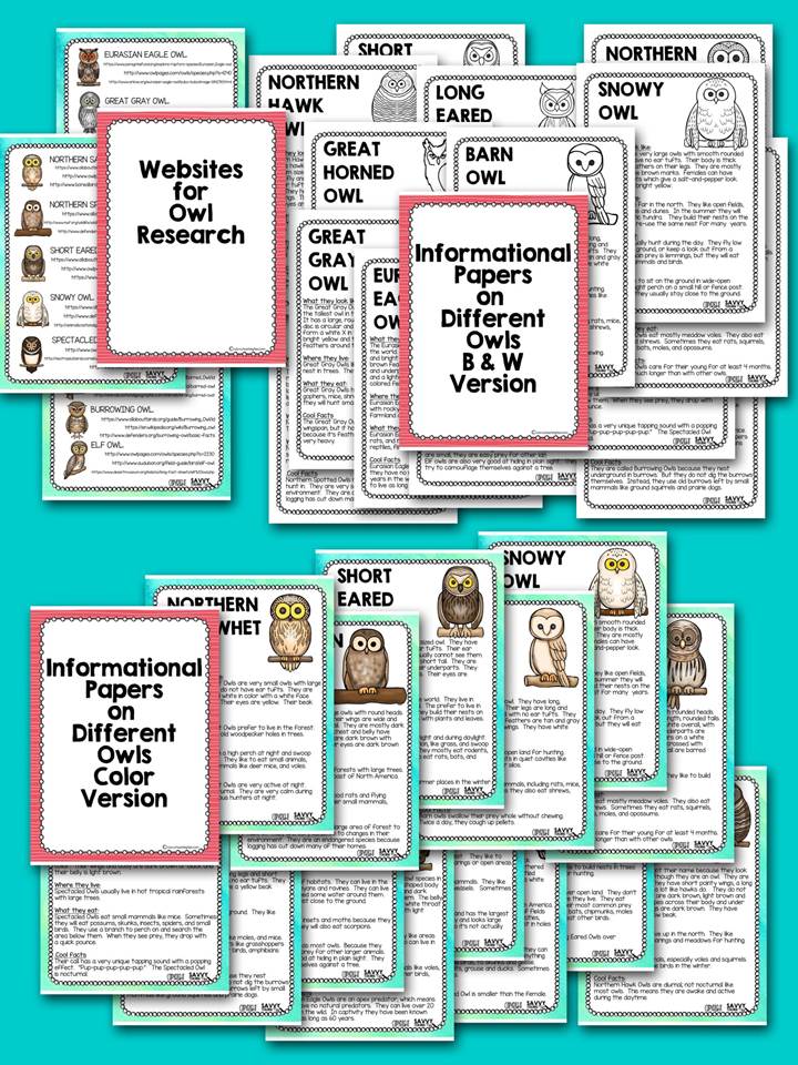 This unit of inquiry is great for giving kids freedom to learn about the owl of their choice. It's perfect for teachers who are new to units of inquiry. There are step-by-step instructions for how to develop inquiry questions and set up the plan for kids to do their own research and project.