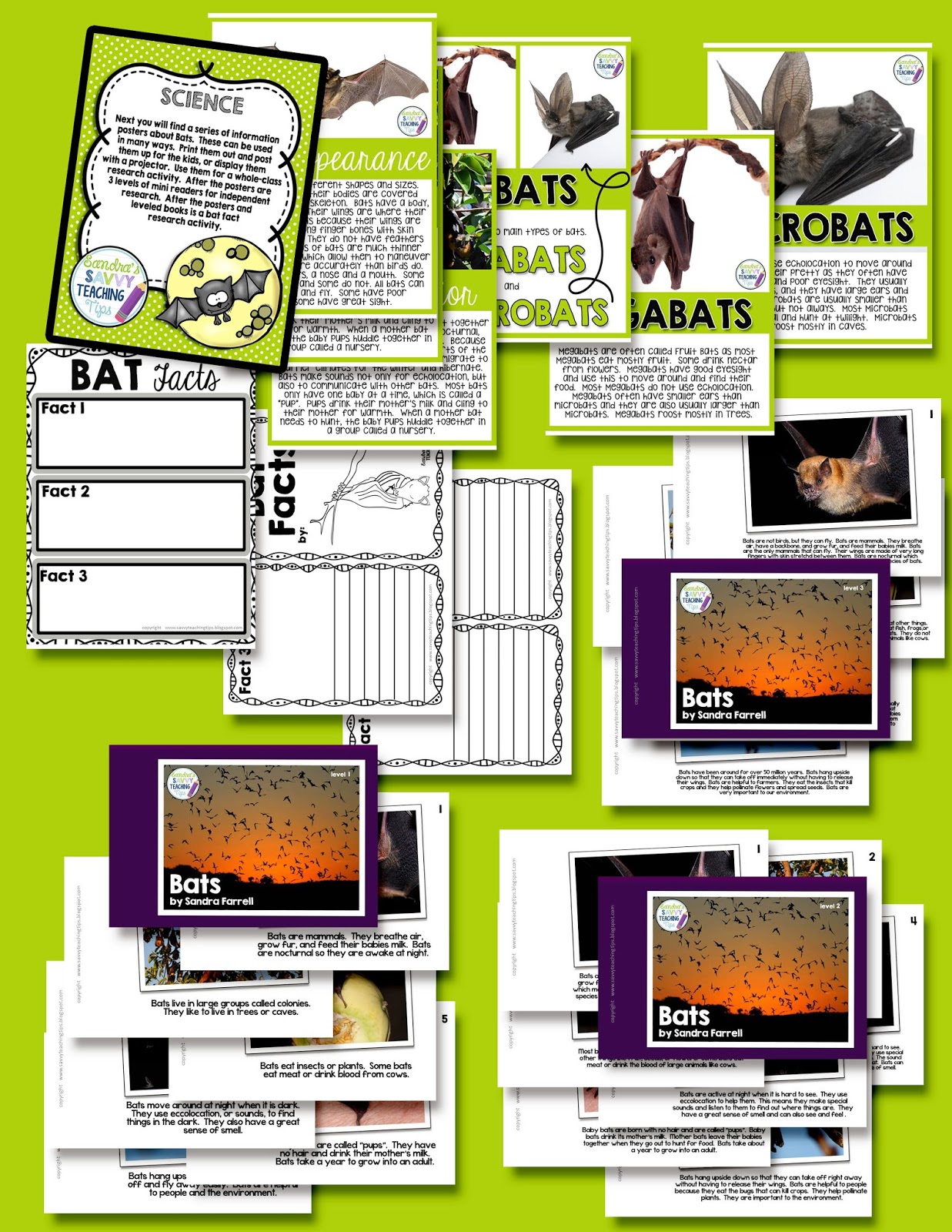 A fully complete unit about bats.  There's fantastic information about life science, life cycle, language arts, math and levelled readers too.