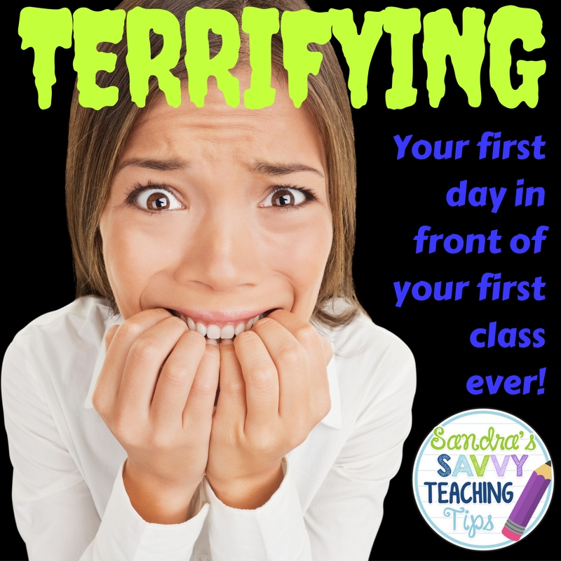 I remember my first day in front of my own students.  I remember feeling terrified.  I remember feeling inadequate, and completely intimidated.  