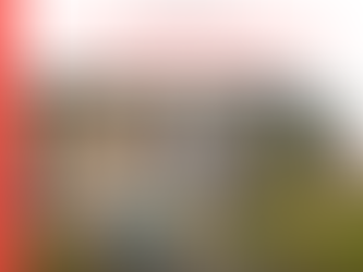 Why Estate Planning Is the Best Use of Your Tax Refund