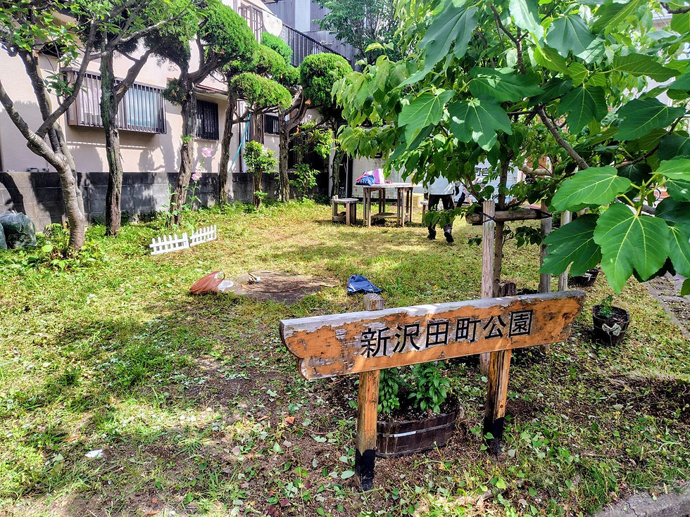 草取り後
