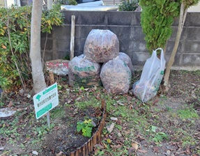 新沢田町公園清掃2026011