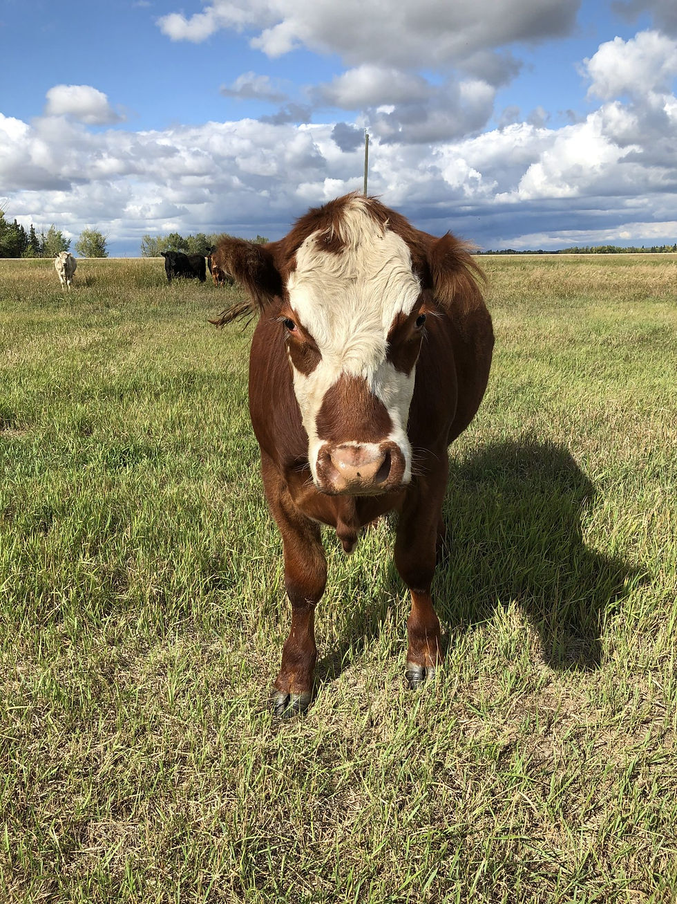 Sunworks Farm