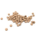 Thumbnail: Tribulus Terrestris 40 tablets