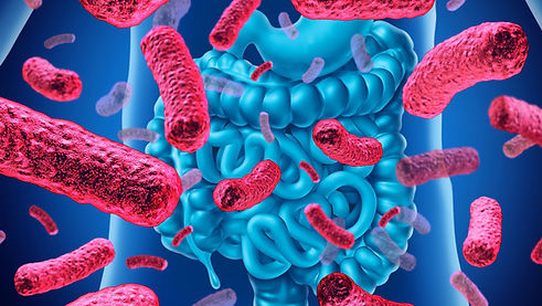 microbiota-1024x577.jpeg