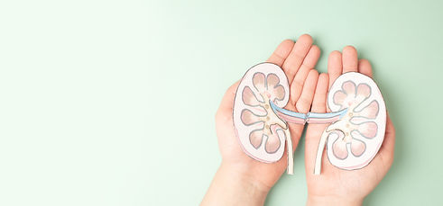 Kidney organ disease, world kidney day, impaired function, health problems, kidneys failur