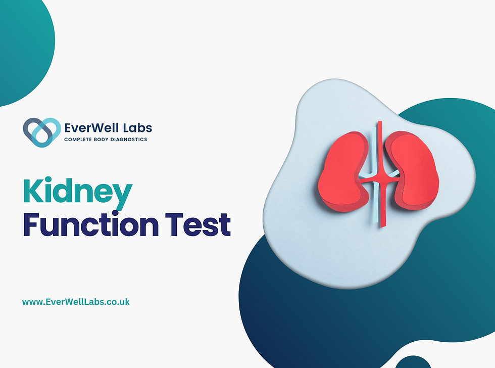 Kidney Function Test EverWell Labs kidney-function-test-everwell-labs