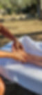 pied 3.jpeg