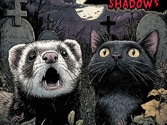   Sinister Shadows - Sinister Shadows 