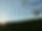 IMG_0388.jpeg