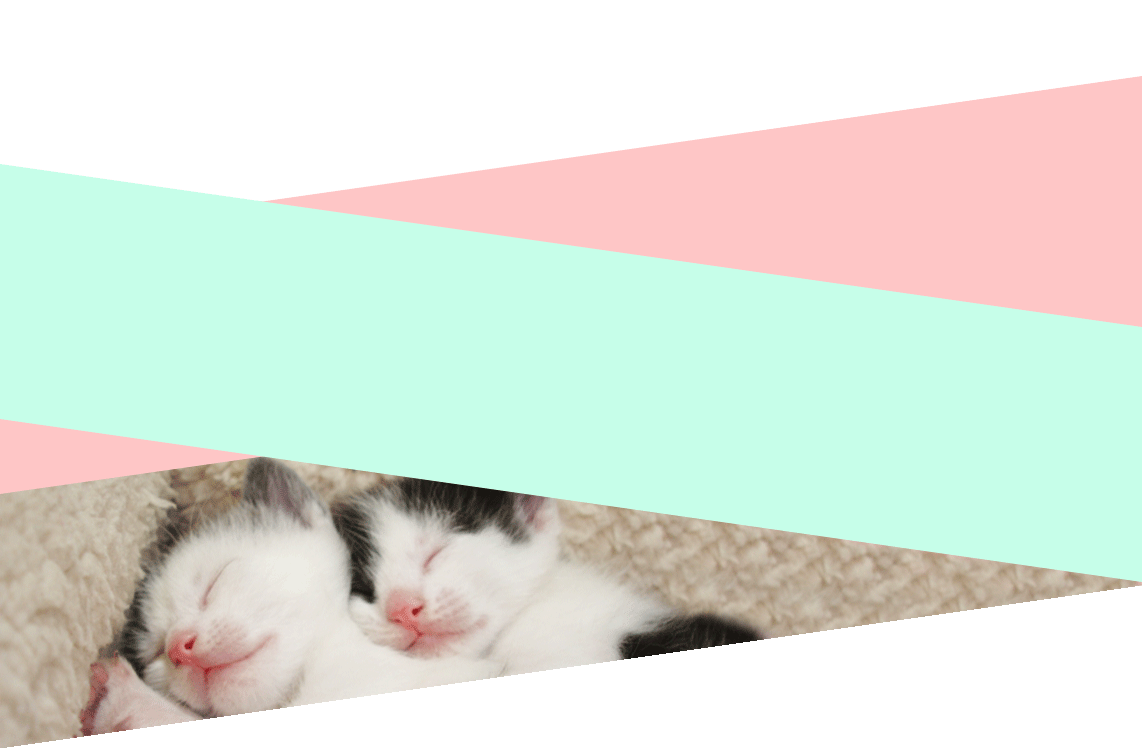 2kittens.gif