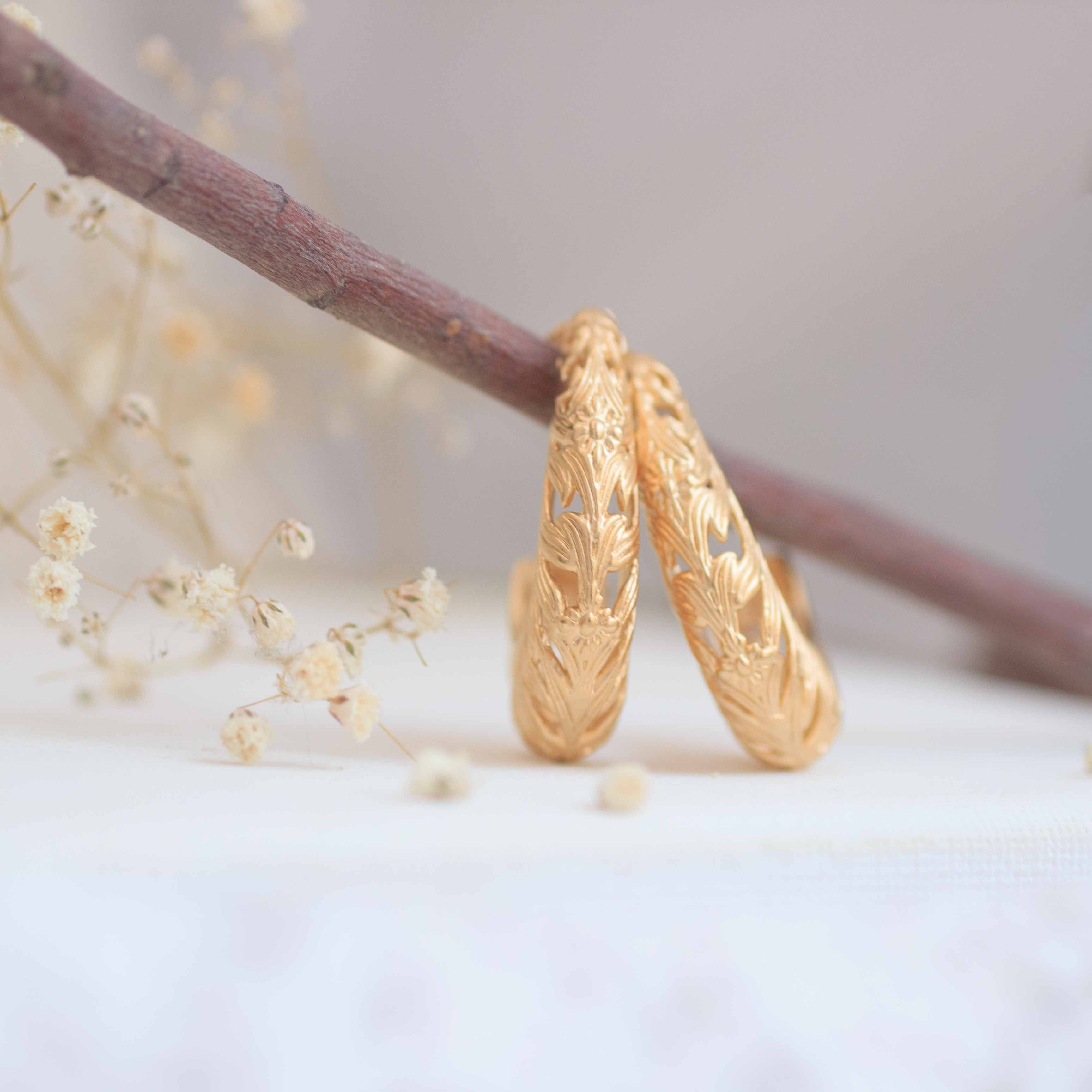 חישוק והביאותים (מהדורה מוגבלת)