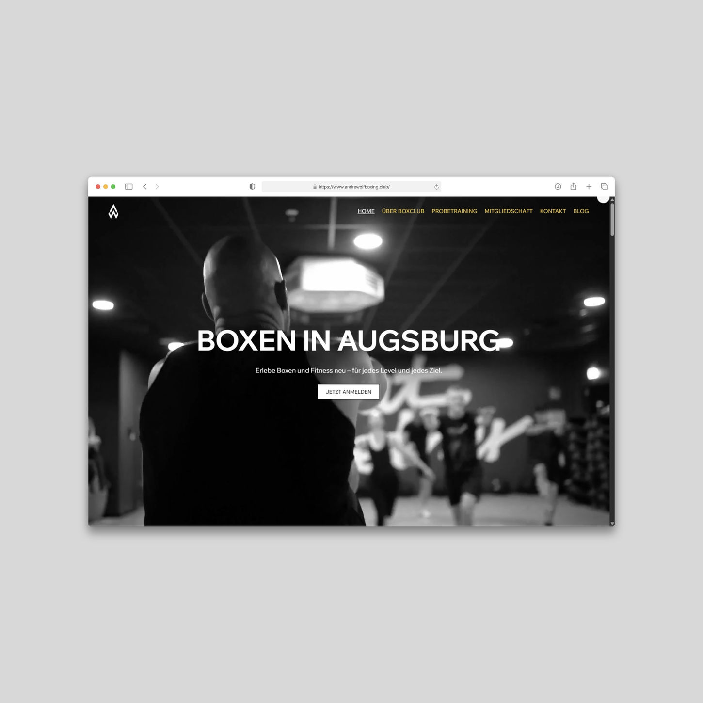 Andre Wolf Boxing Studio: Sleek, modern web design with striking visuals that showcase your gym’s strength and style.
