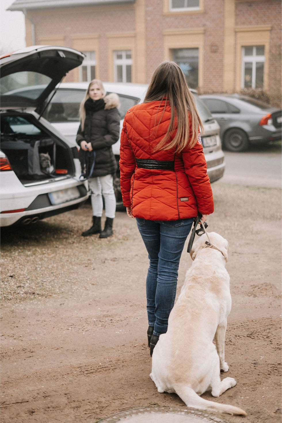 KöterGlück Hundetraining Muchow-min.jpg