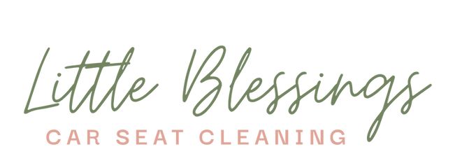 Little Blessings Car Seat Cleaning