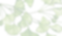 Asian Mushroom Salad_edited.png