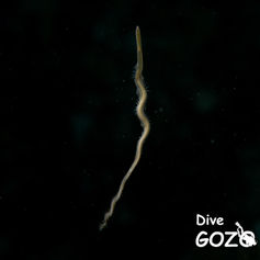 MIX at night -7050137.jpg