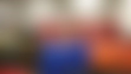 Welcome Ava & Sydney, Research Assistants