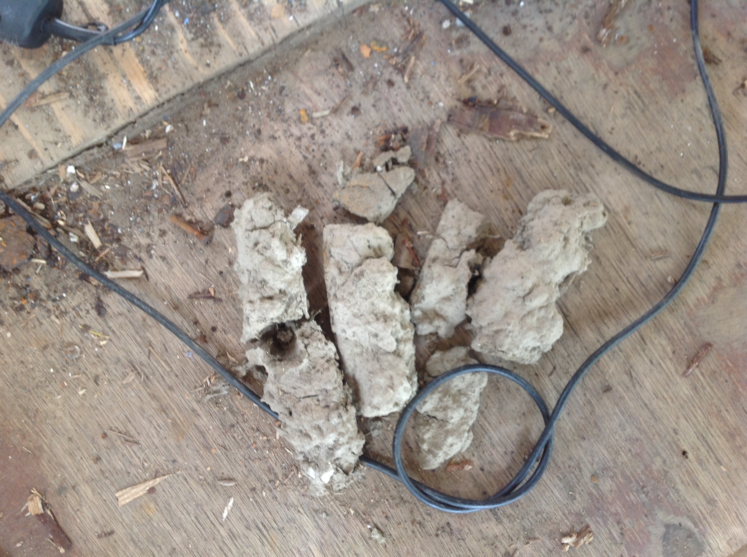 Ancient Mud!!