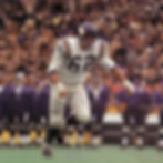 Best Vikings Guards of All Time National Football League Guard Ed White of the Minnesota Vikings