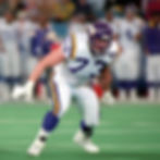 Best Vikings Offensive Tackles of All Time, National Football League Offensive Tackle Todd Steussie of the Minnesota Vikings