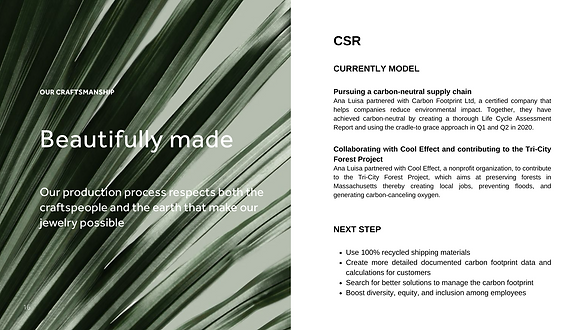Ana Luisa Supply Chain Business Strategy