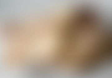 From Carbs to Sugar: What Your Body Really Sees