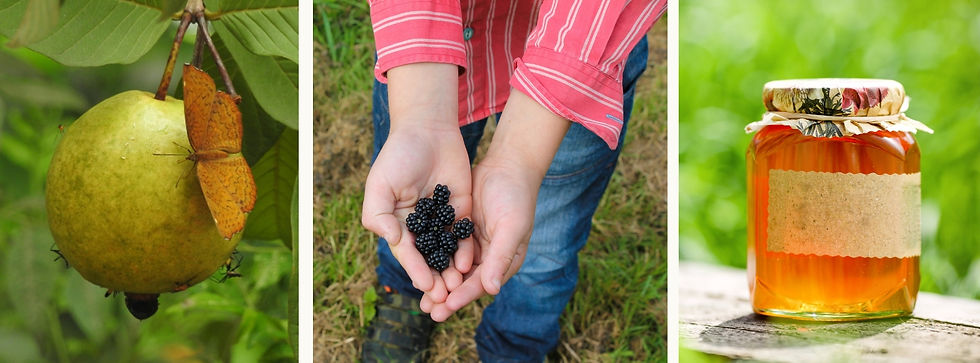 Natural foods still have plenty of flavour, but it's more than that. A natural flavour in its whole form is a signpost to a nutrient combination. Flavour without the food hacks our senses.