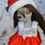 Miniature : Outfit de noël à nœud