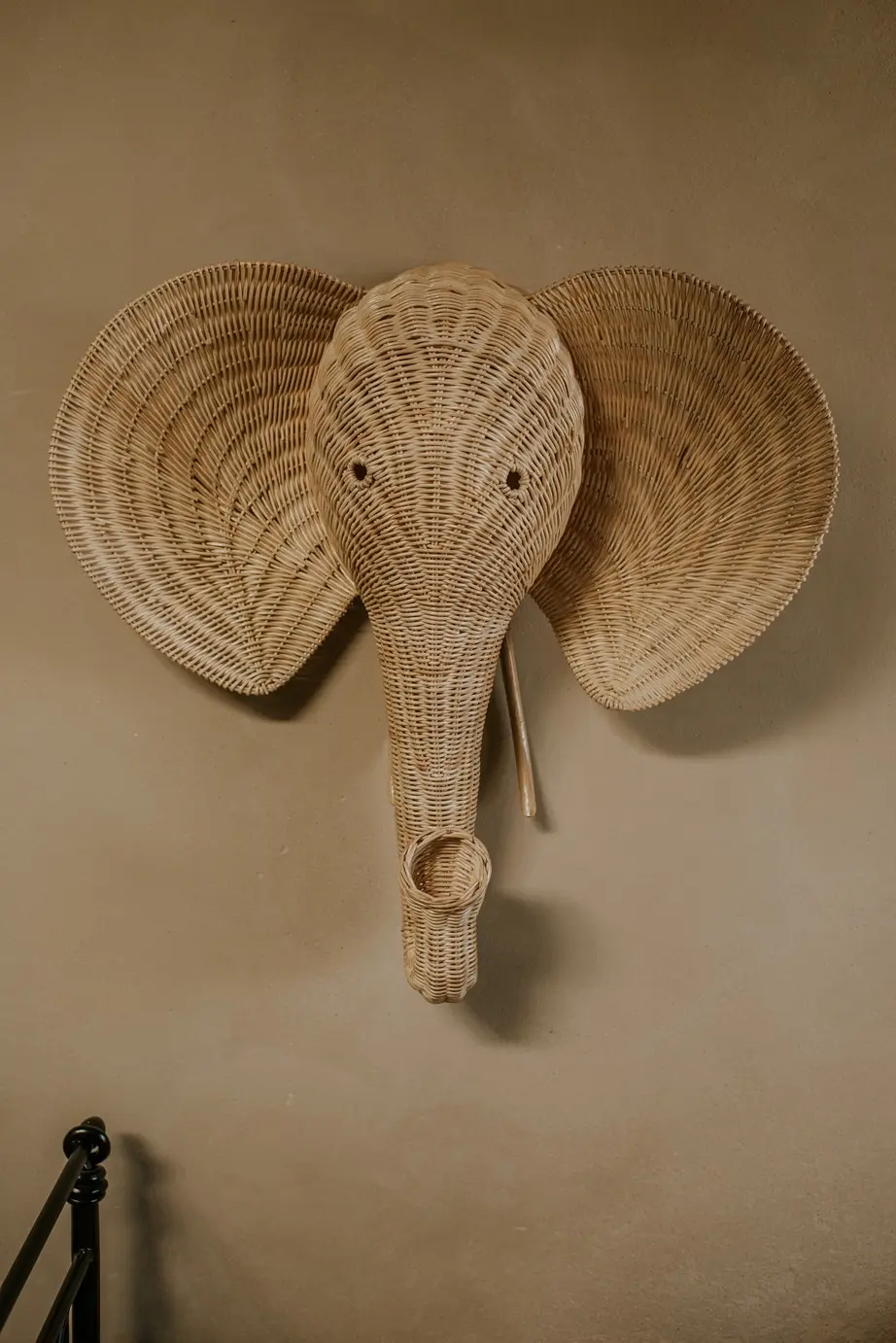 cabeza de elefante