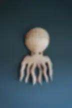 pulpo decorativo