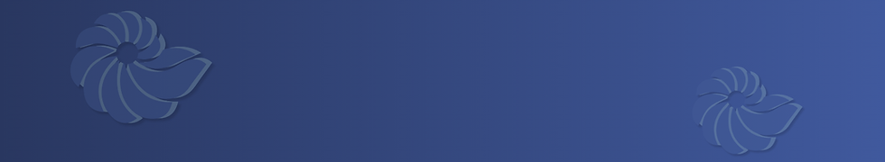 CTA Section Background.png