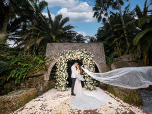 Wedding Wonderland