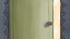 The Open Door of Compassion