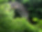 35508842725_6dab2d4303_b_edited.jpg