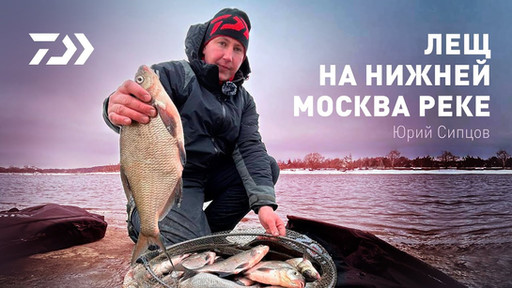 DAIWA | Дайва Рус