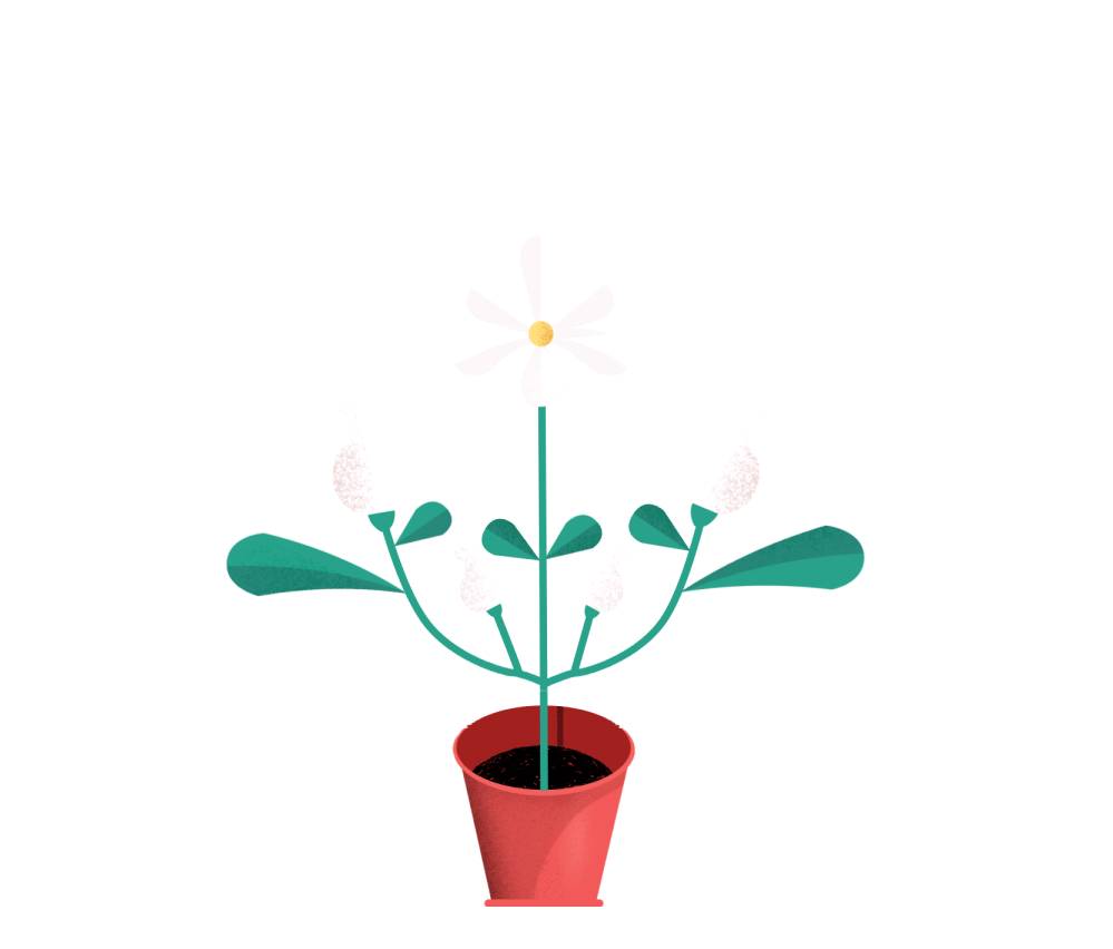 flower-gif.gif