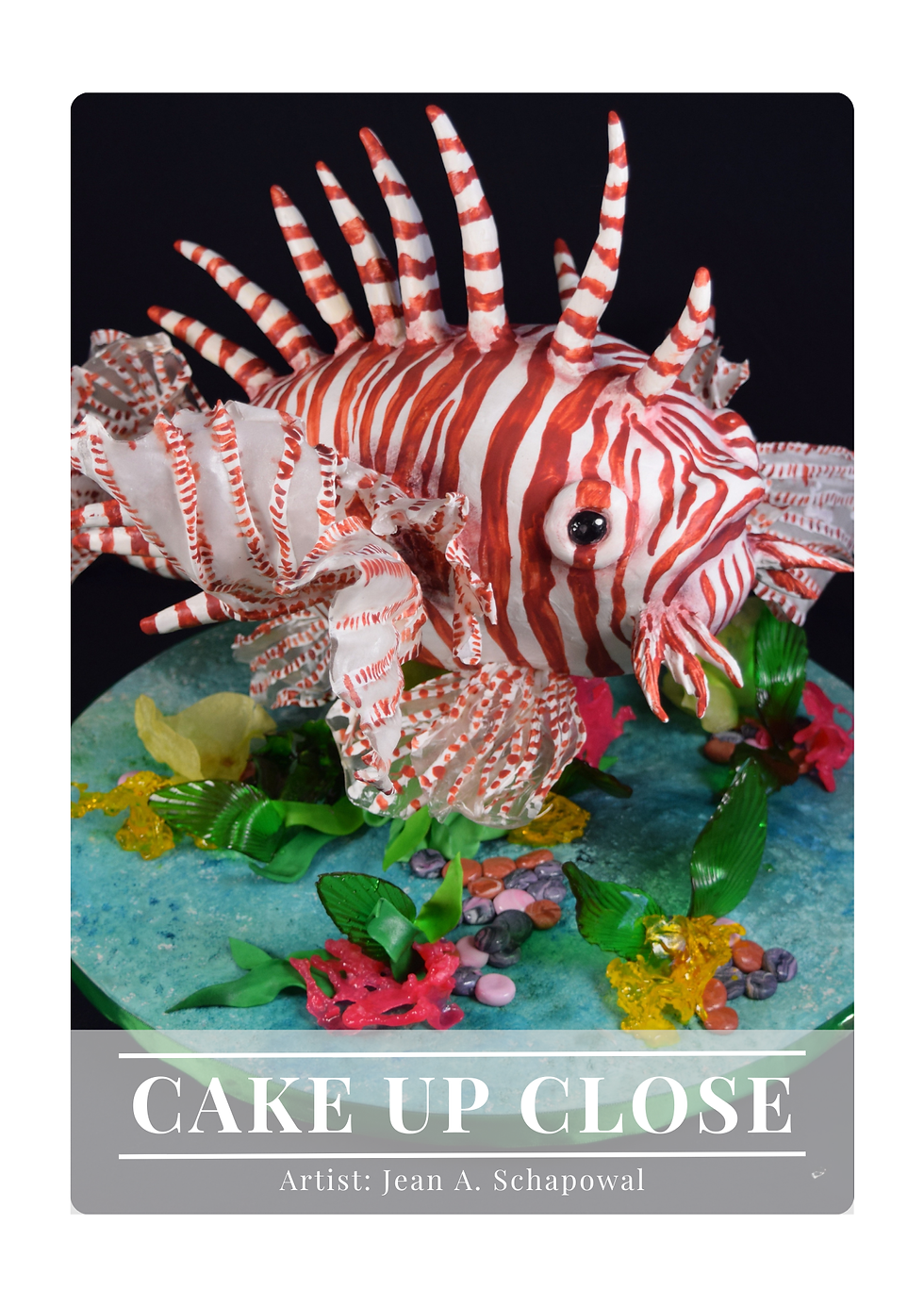 Миниатюра: Edition 38: February 2025 - The Sea & Swashbuckling Issue