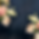 Untitled design (8).png
