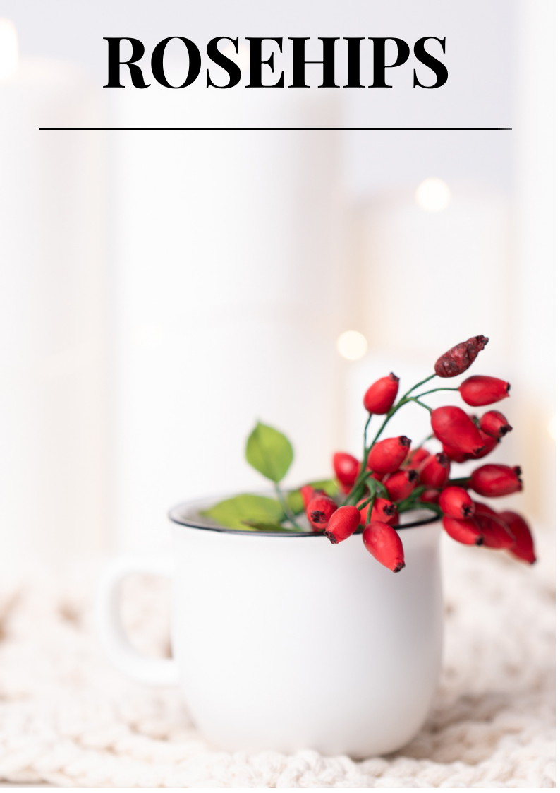 縮圖：Edition 12: December 2022 - The Christmas Issue